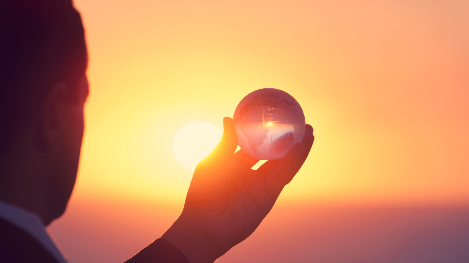 International Transparency